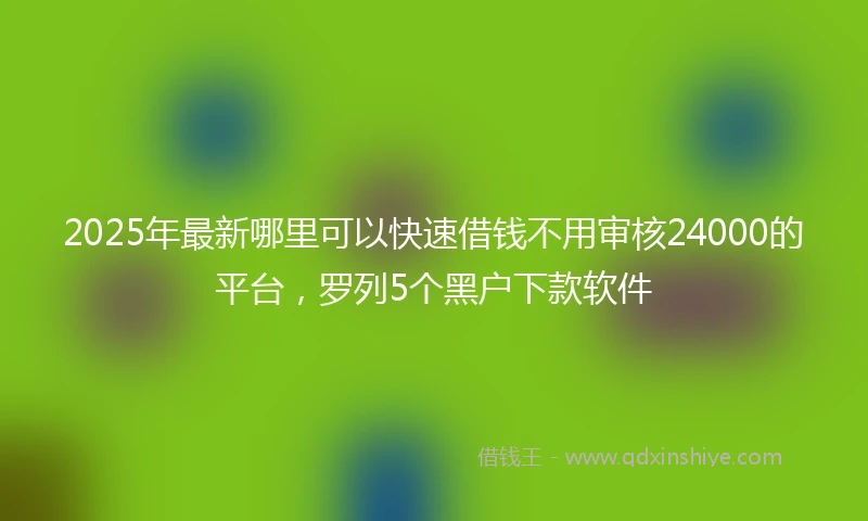 2025年最新哪里可以快速借钱不用审核24000的平台，罗列5个黑户下款软件