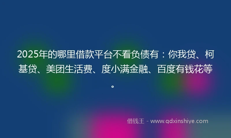 2025年的哪里借款平台不看负债有：你我贷、柯基贷、美团生活费、度小满金融、百度有钱花等。