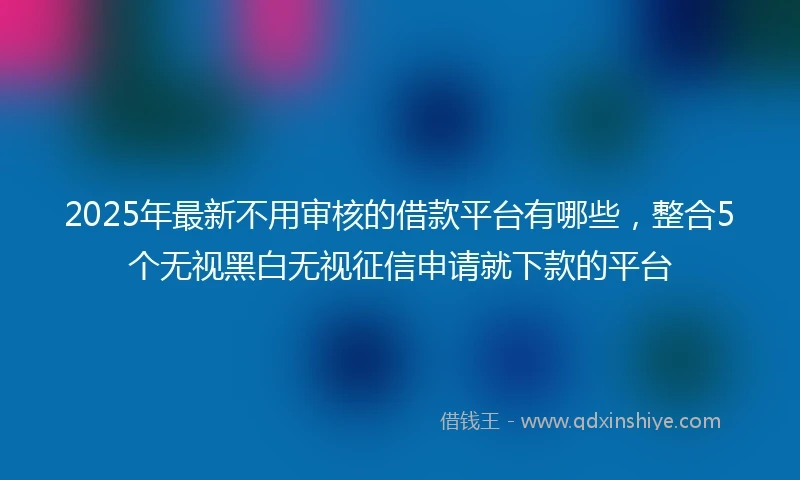 2025年最新不用审核的借款平台有哪些，整合5个无视黑白无视征信申请就下款的平台