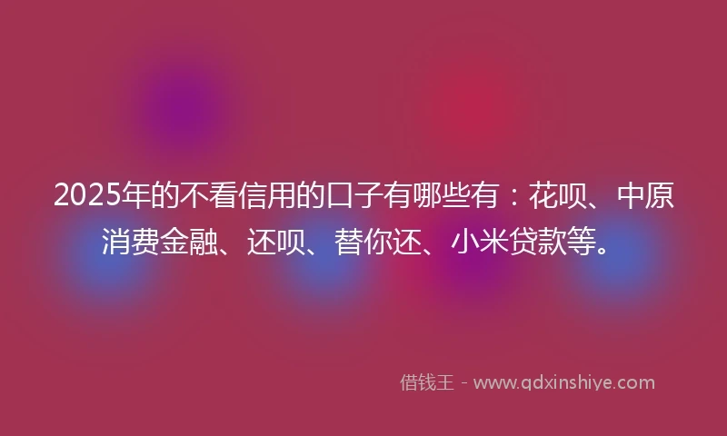 2025年的不看信用的口子有哪些有：花呗、中原消费金融、还呗、替你还、小米贷款等。