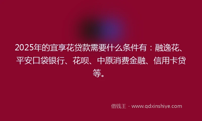 2025年的宜享花贷款需要什么条件有：融逸花、平安口袋银行、花呗、中原消费金融、信用卡贷等。