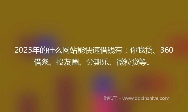 2025年的什么网站能快速借钱有：你我贷、360借条、投友圈、分期乐、微粒贷等。