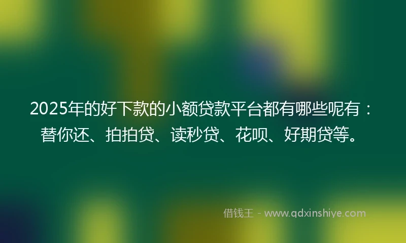 2025年的好下款的小额贷款平台都有哪些呢有：替你还、拍拍贷、读秒贷、花呗、好期贷等。