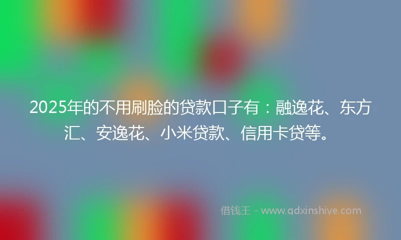 2025年的不用刷脸的贷款口子有：融逸花、东方汇、安逸花、小米贷款、信用卡贷等。