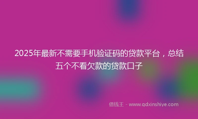 2025年最新不需要手机验证码的贷款平台，总结五个不看欠款的贷款口子