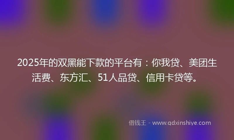 2025年的双黑能下款的平台有：你我贷、美团生活费、东方汇、51人品贷、信用卡贷等。