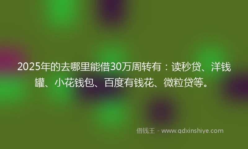 2025年的去哪里能借30万周转有：读秒贷、洋钱罐、小花钱包、百度有钱花、微粒贷等。