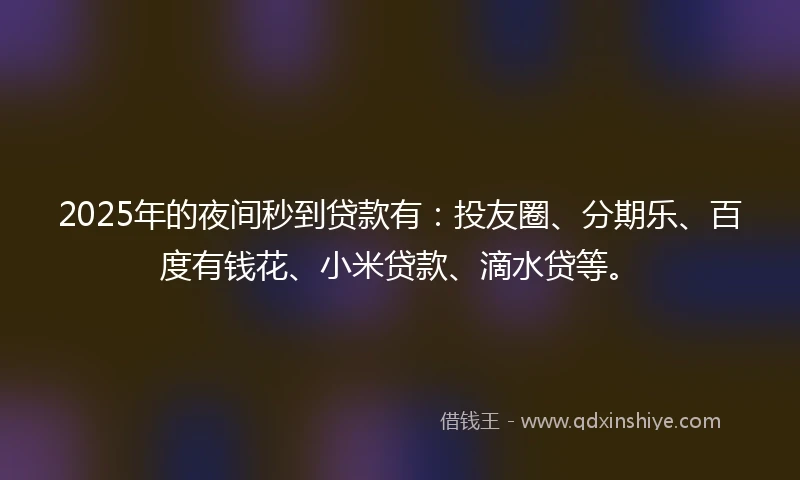 2025年的夜间秒到贷款有：投友圈、分期乐、百度有钱花、小米贷款、滴水贷等。