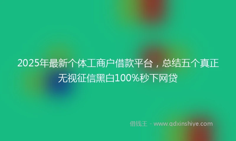 2025年最新个体工商户借款平台，总结五个真正无视征信黑白100%秒下网贷