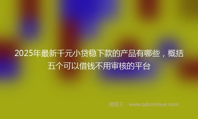 2025年最新千元小贷稳下款的产品有哪些，概括五个可以借钱不用审核的平台