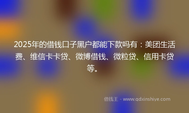 2025年的借钱口子黑户都能下款吗有：美团生活费、维信卡卡贷、微博借钱、微粒贷、信用卡贷等。