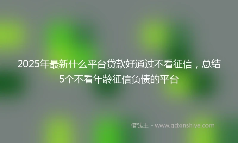 2025年最新什么平台贷款好通过不看征信，总结5个不看年龄征信负债的平台