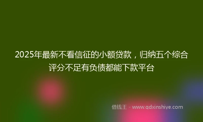 2025年最新不看信征的小额贷款，归纳五个综合评分不足有负债都能下款平台
