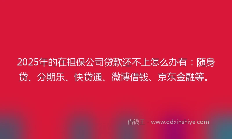 2025年的在担保公司贷款还不上怎么办有：随身贷、分期乐、快贷通、微博借钱、京东金融等。