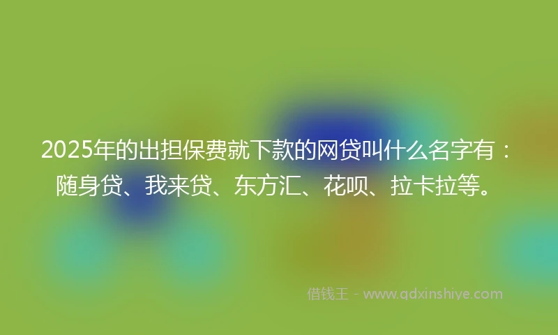 2025年的出担保费就下款的网贷叫什么名字有：随身贷、我来贷、东方汇、花呗、拉卡拉等。