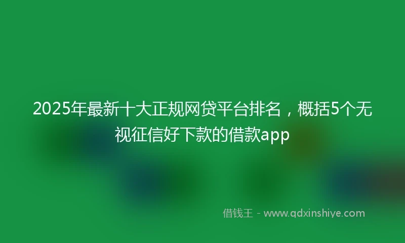 2025年最新十大正规网贷平台排名，概括5个无视征信好下款的借款app