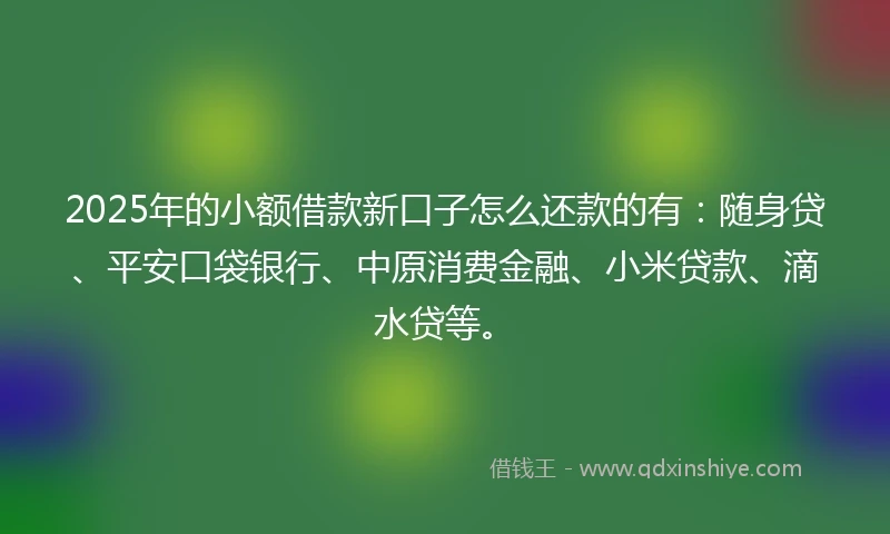 2025年的小额借款新口子怎么还款的有：随身贷、平安口袋银行、中原消费金融、小米贷款、滴水贷等。