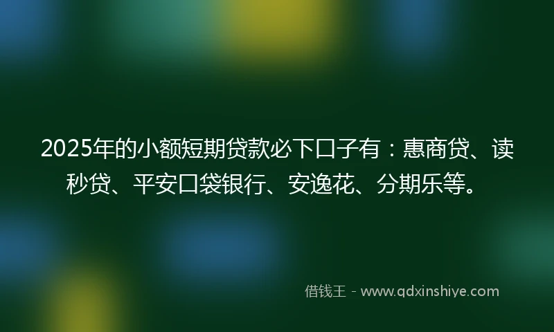 2025年的小额短期贷款必下口子有：惠商贷、读秒贷、平安口袋银行、安逸花、分期乐等。