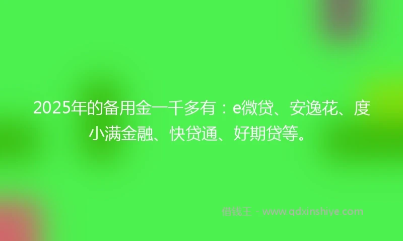 2025年的备用金一千多有：e微贷、安逸花、度小满金融、快贷通、好期贷等。