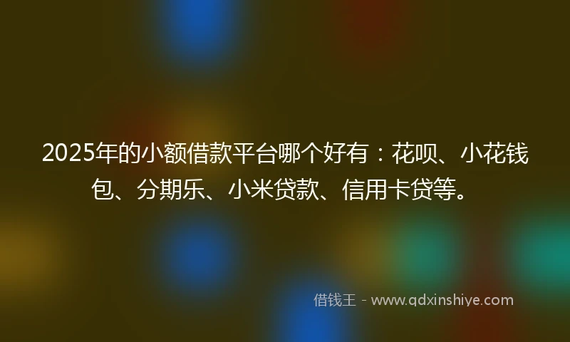 2025年的小额借款平台哪个好有：花呗、小花钱包、分期乐、小米贷款、信用卡贷等。