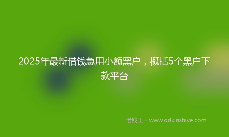 2025年最新借钱急用小额黑户，概括5个黑户下款平台