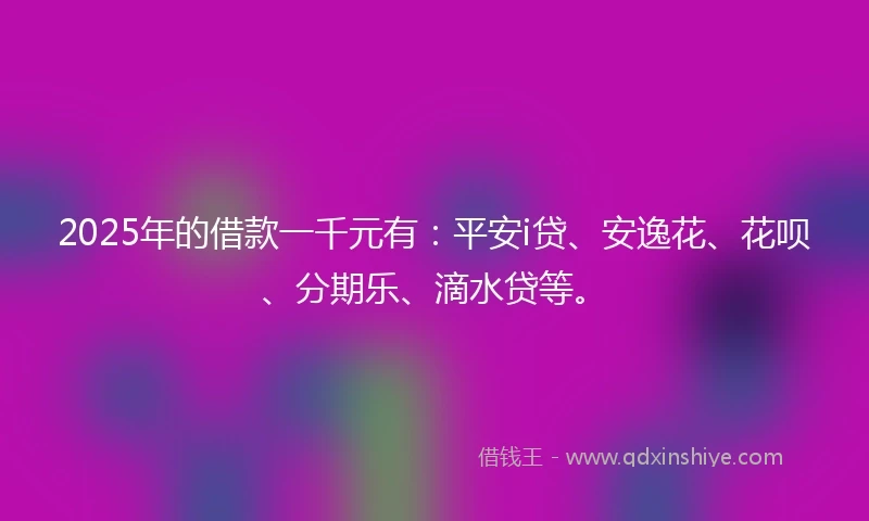2025年的借款一千元有：平安i贷、安逸花、花呗、分期乐、滴水贷等。