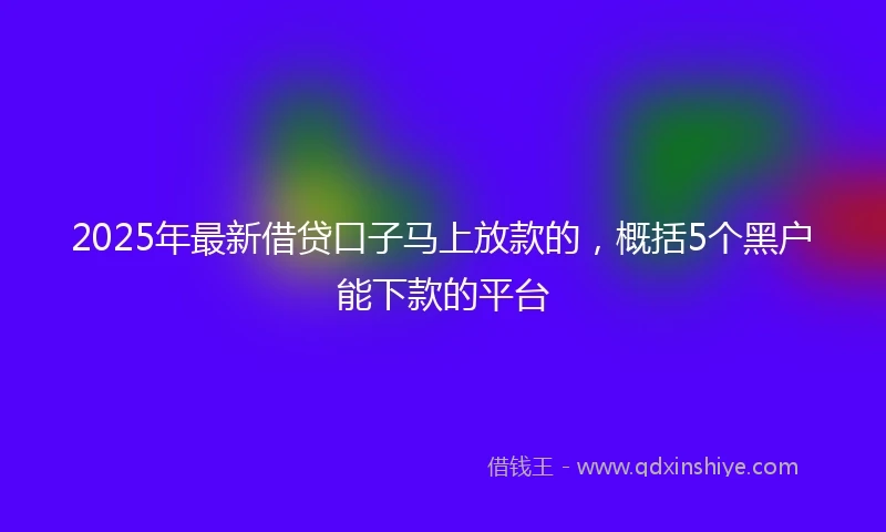 2025年最新借贷口子马上放款的，概括5个黑户能下款的平台