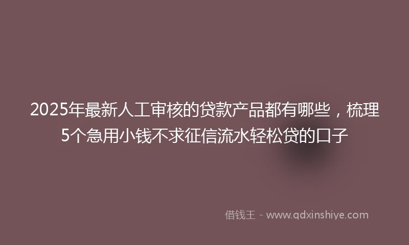 2025年最新人工审核的贷款产品都有哪些，梳理5个急用小钱不求征信流水轻松贷的口子