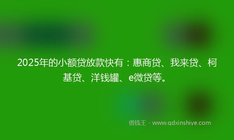 2025年的小额贷放款快有：惠商贷、我来贷、柯基贷、洋钱罐、e微贷等。