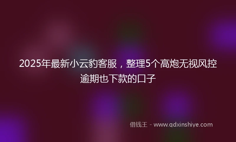 2025年最新小云豹客服，整理5个高炮无视风控逾期也下款的口子