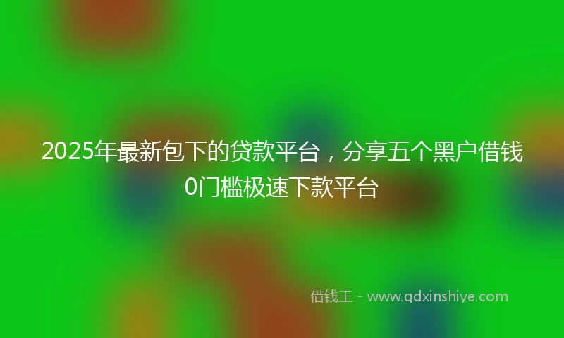 2025年最新包下的贷款平台，分享五个黑户借钱0门槛极速下款平台