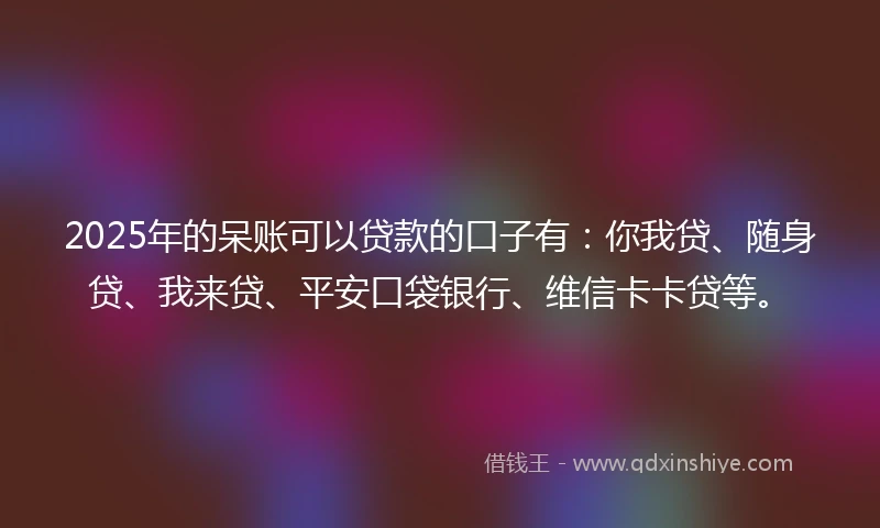 2025年的呆账可以贷款的口子有：你我贷、随身贷、我来贷、平安口袋银行、维信卡卡贷等。