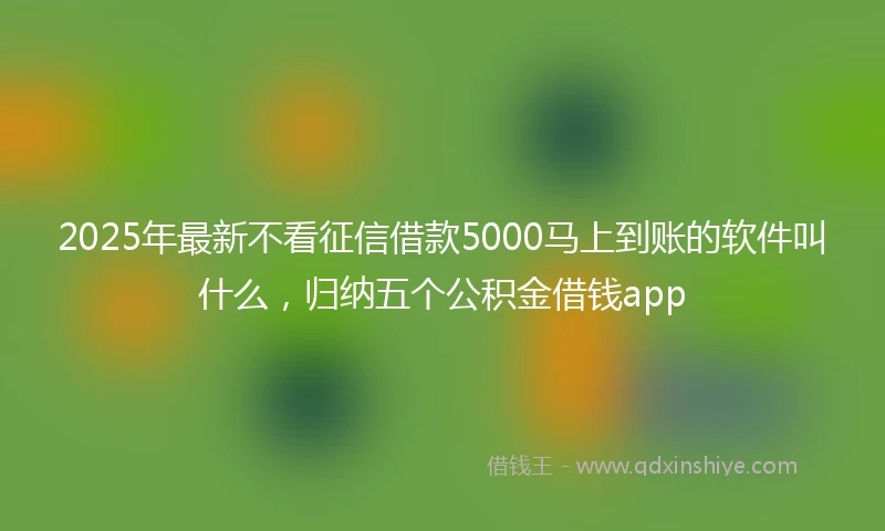 2025年最新不看征信借款5000马上到账的软件叫什么，归纳五个公积金借钱app