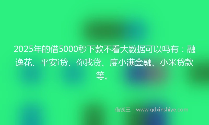 2025年的借5000秒下款不看大数据可以吗有：融逸花、平安i贷、你我贷、度小满金融、小米贷款等。