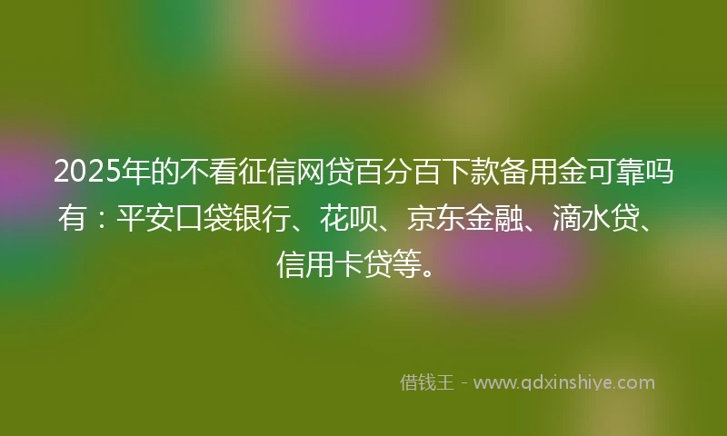 2025年的不看征信网贷百分百下款备用金可靠吗有：平安口袋银行、花呗、京东金融、滴水贷、信用卡贷等。