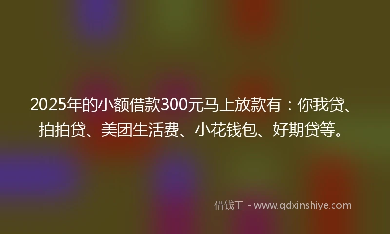 2025年的小额借款300元马上放款有：你我贷、拍拍贷、美团生活费、小花钱包、好期贷等。
