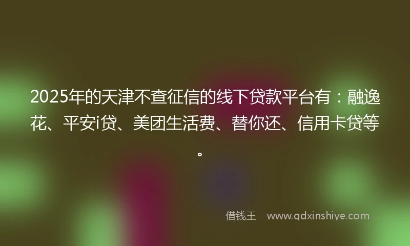 2025年的天津不查征信的线下贷款平台有：融逸花、平安i贷、美团生活费、替你还、信用卡贷等。