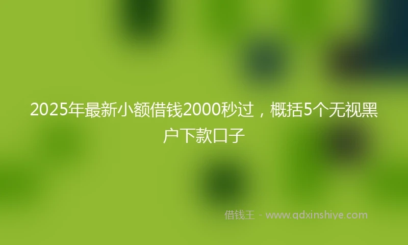 2025年最新小额借钱2000秒过，概括5个无视黑户下款口子