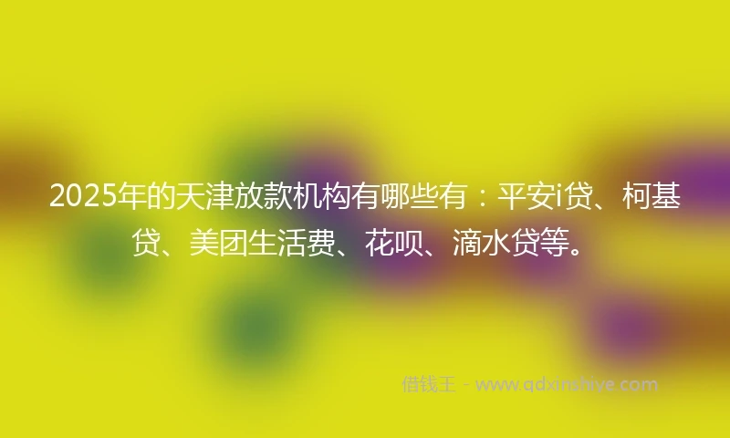 2025年的天津放款机构有哪些有:平安i贷、柯基贷、美团生活费、花呗、滴水贷等。