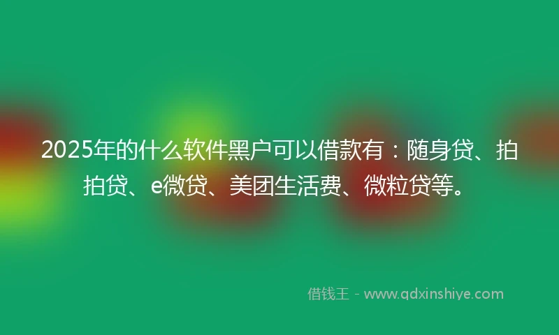 2025年的什么软件黑户可以借款有：随身贷、拍拍贷、e微贷、美团生活费、微粒贷等。