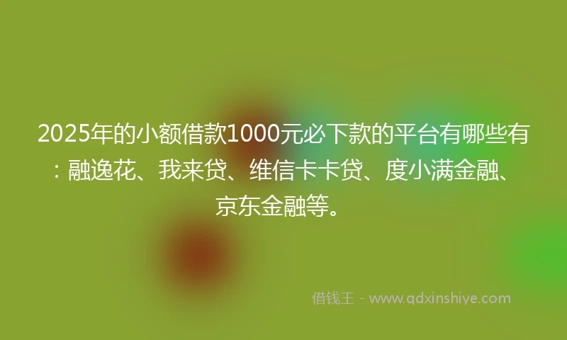 2025年的小额借款1000元必下款的平台有哪些有：融逸花、我来贷、维信卡卡贷、度小满金融、京东金融等。