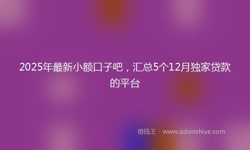 2025年最新小额口子吧，汇总5个12月独家贷款的平台