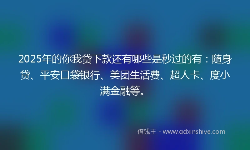 2025年的你我贷下款还有哪些是秒过的有：随身贷、平安口袋银行、美团生活费、超人卡、度小满金融等。