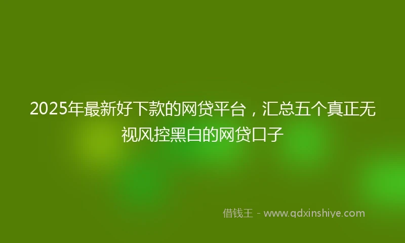 2025年最新好下款的网贷平台，汇总五个真正无视风控黑白的网贷口子