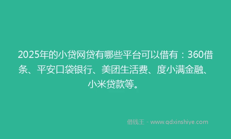 2025年的小贷网贷有哪些平台可以借有：360借条、平安口袋银行、美团生活费、度小满金融、小米贷款等。