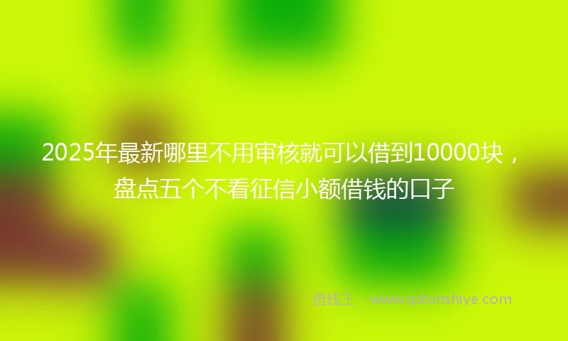 2025年最新哪里不用审核就可以借到10000块，盘点五个不看征信小额借钱的口子