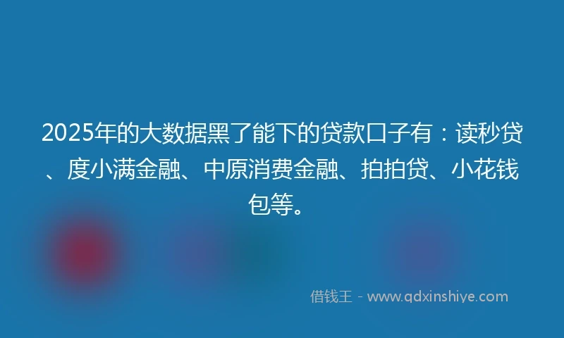 2025年的大数据黑了能下的贷款口子有:读秒贷、度小满金融、中原消费金融、拍拍贷、小花钱包等。