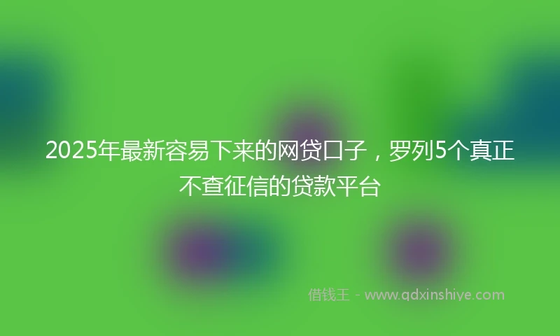 2025年最新容易下来的网贷口子，罗列5个真正不查征信的贷款平台