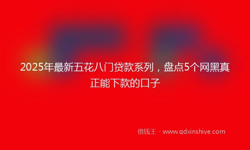 2025年最新五花八门贷款系列，盘点5个网黑真正能下款的口子