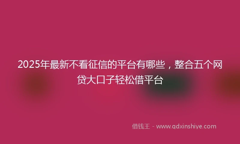 2025年最新不看征信的平台有哪些，整合五个网贷大口子轻松借平台